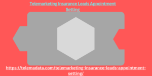 Telemarketing Insurance Leads Appointment Setting