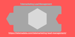 Telemarketing Lead Management