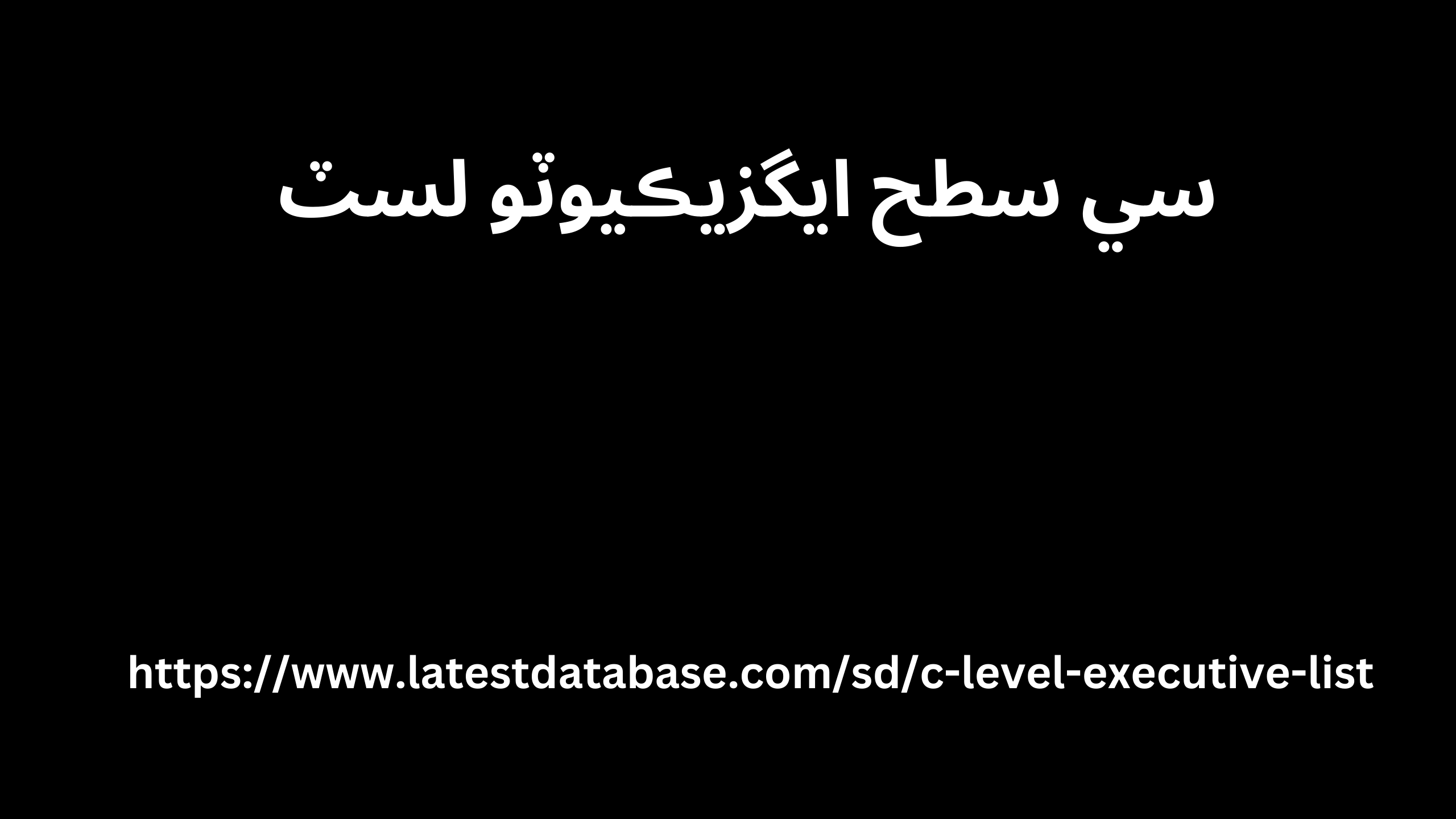 سي سطح ايگزيڪيوٽو لسٽ 