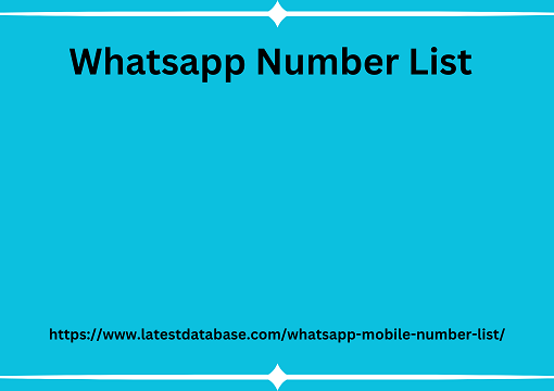 Whatsapp Number List