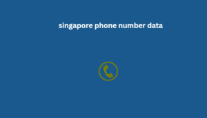 singapore phone number data